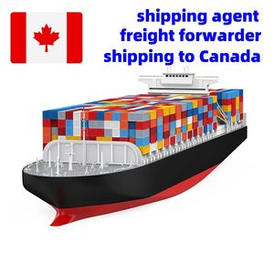 Transporte de carga barato FCL LCL DDP servicio de envío de <span class=keywords><strong>China</strong></span> a Vancouver Prince Rupert Halifax <span class=keywords><strong>Montreal</strong></span> Toronto - Product Image 3