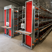 Cage à poules pondeuses H-Type à 3 niveaux, capacité 96 poules, avec abreuvoir à tétine, à vendre