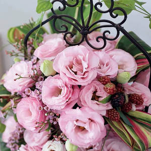 Origin of Eustoma grandiflorum Double-petaled flowering and easy-to-grow flower varieties suitable for outdoor garden flower - Product Image 5