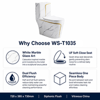 WC monobloc en marbre blanc émaillé avec bandes décoratives dorées, WC à double chasse siphonique pour salle de bain moderne