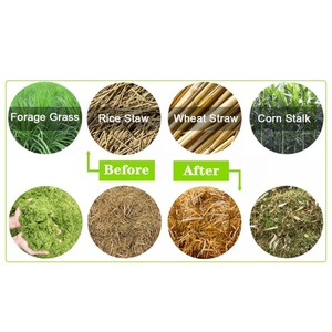 Animale <span class=keywords><strong>di</strong></span> alta qualità <span class=keywords><strong>di</strong></span> Alimentazione Sfregamenti Cutter mini pula taglierina macchina - Product Image 4