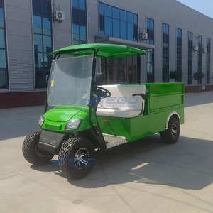Carrito de Golf Eléctrico de 2 Plazas, Diseño Pequeño Personalizado, Buggy de Golf Verde, Herramientas de Golf de Alta Calidad - Product Image 1