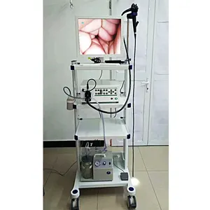 HC-R029 veteriner Video endoskop sistemi Video gastroskop ve Video kolonoskopi için pet ve hayvan