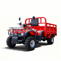 Quad 300CC 4x4 tout-terrain pour adultes, véhicule agricole, buggy des dunes, modèle de moto tout-terrain