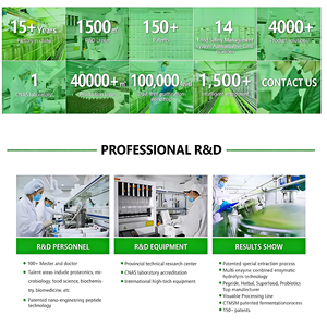 مستخلص أوراق الداميانا عالي الجودة من المصنع، منتج رائج للبيع بالجملة - Product Image 4