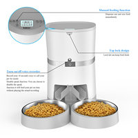 Bol d'eau automatique pour chaton, lait, minuteur automatique, fontaine lente pour animal de compagnie, ensemble, distributeur de nourriture pour chiots et chats