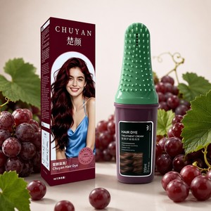 Crème colorante capillaire tendance Bourgogne 200ml avec applicateur peigne, nourrissante, à base de plantes, vente en gros OEM - Product Image 1