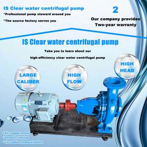 Bomba Centrífuga de Succión Horizontal de 4 Pulgadas, Bomba de Agua Eléctrica, Bombas de Riego Agrícola - Product Image 5