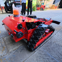 Tondeuse à gazon robotisée miniature, la moins chère au monde, avec moteur de marque, pour jardin.