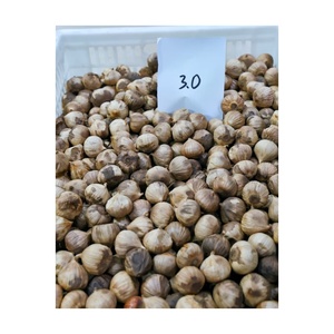 <span class=keywords><strong>Ail</strong></span> noir cuit au four au goût naturellement sucré, fournisseur d'emballages et d'étiquettes personnalisés pour l'<span class=keywords><strong>ail</strong></span> noir fermenté <span class=keywords><strong>pelé</strong></span> et <span class=keywords><strong>non</strong></span> <span class=keywords><strong>pelé</strong></span> - Product Image 5