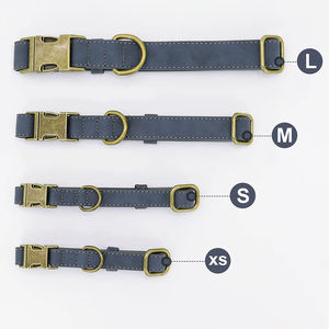 Set 2 pezzi di collare e guinzaglio personalizzato per cani con fibbia Vintage in bronzo Set collare e guinzaglio in pelle scamosciata regolabile - Product Image 4