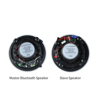 BTF32 Active 30W Haut-parleur de plafond coaxial sans cadre Bluetooth Haut-parleur de plafond principal avec 1 haut-parleur de plafond esclave