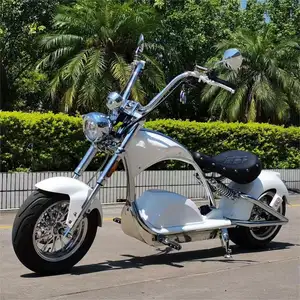 Elektrische Motorfiets Chopper Custom Elektrische Choppers Elektrische Fietsen Fat Tire Rc Motorfietsen Elektrische Scooter Chroom Scooter