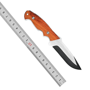 Mini Cuchillo Portátil de Hoja Recta para Caza y Camping, Multifuncional, para Pescar, Comer Carne y Frutas - Product Image 6