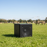 Altavoz Profesional Activo Coaxial de Dos Vías para Sistema Line Array, 16 Ohmios, 120W, Controladores de Alta/Baja Frecuencia, Mismo Eje, Metálico, para Cine en Casa