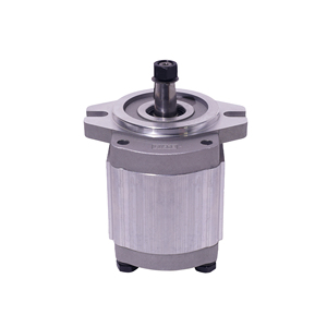 Pompes hydrauliques à engrenages en aluminium à usage automobile et <span class=keywords><strong>naval</strong></span> pour l'équipement des machines de moulage par injection Technologie de pompe de qualité supérieure - Product Image 2