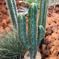 Plante de cactus artificielle verte 60-125 cm en plastique PE résistant aux UV, écologique, pour la décoration intérieure et extérieure du jardin