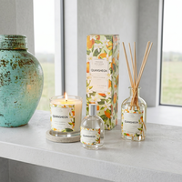Diffuseur de parfum pour la maison, grand diffuseur à bâtonnets, ensemble personnalisé, étiquette privée complète, coffret cadeau diffuseur à bâtonnets grande taille