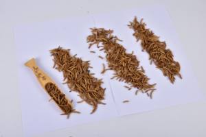 SINO CROWN Ver <span class=keywords><strong>de</strong></span> <span class=keywords><strong>farine</strong></span> séchée pour les additifs alimentaires secs - Product Image 5