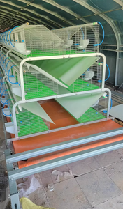 Grandes cages pour lapins bébés <span class=keywords><strong>à</strong></span> nettoyage automatique avec plancher - Product Image 3