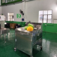 Dq Guangzhou Daqiao Industriële Commerciële Vers Fruit Snijden Verwerking Productielijn Kern Motor Mango Snijmachine