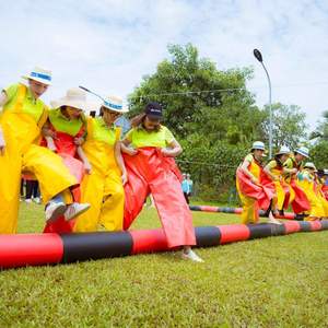 Pompe à air électrique Vietnamienne à configuration simple, pantalon de team building Thuy Linh imprimé UV pour 6 mois, gonflable 12 pieds - Product Image 1