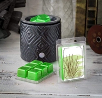 Moules à clapet en cire fondue carrés, plateau cube en plastique transparent à 6 cavités pour la fabrication de bougies et de savon