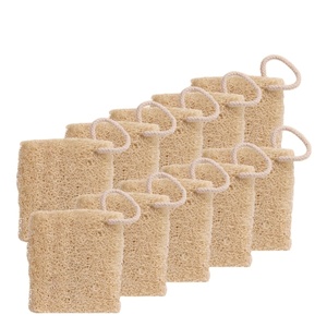 Esponja de Luffa Natural Ecológica Zenidoo, Paño para Fregar Platos, 10 cm, con Más del 80% de Ingredientes Activos para la Limpieza de la Cocina - Product Image 1