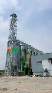 Dikey Tahıl Kova Elevatörü, Kullanılmış Tahıl Silosu Taşıma İçin Yüksek Verimli Motor 5T-150T Kapasite Düşük Maliyetli - Product Image 6