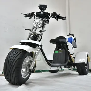 Hot Sale Wholesale Three-wheeled golf cart High Performance Fat Tire Adult Electric Scooter