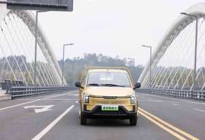 Chine Mini camionnette électrique 4x4 avec grand essieu arrière porteur véhicule à énergie nouvelle pour petite cargaison nouvelle version - Product Image 4