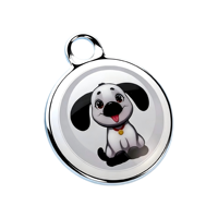 Collier GPS pour animaux de compagnie, métal, étanche, rechargeable, localisateur en temps réel pour chiens, autonomie de 1 an, CE FCC, appareil intelligent