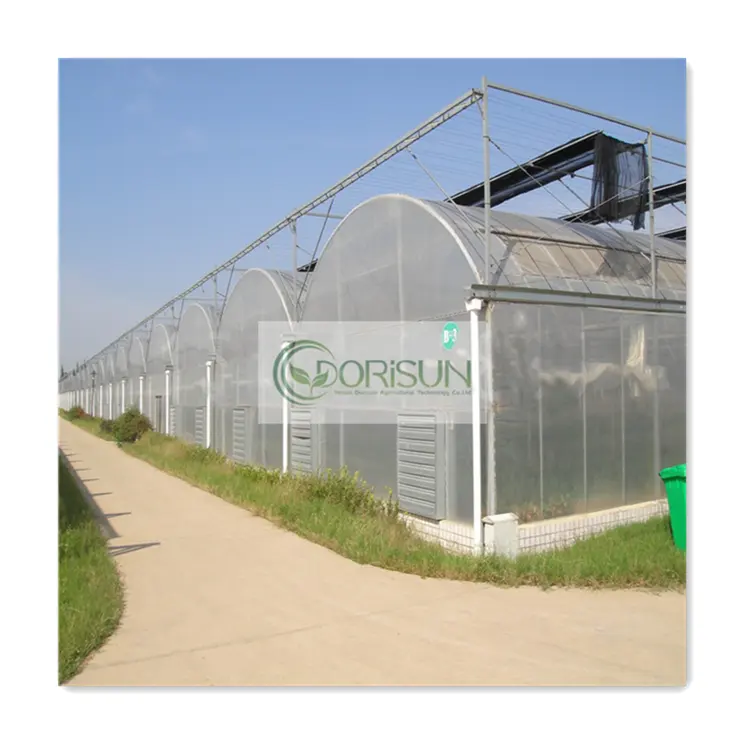 Cheap Global Bestseller Aquaculture Plastic Cover Green House Fish Pond Invernadero With Wet Curtain