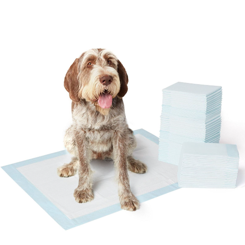 Soft and gentle wholesale 60*60cm urine absorbent pet pads pet training pads doggy pads/mates