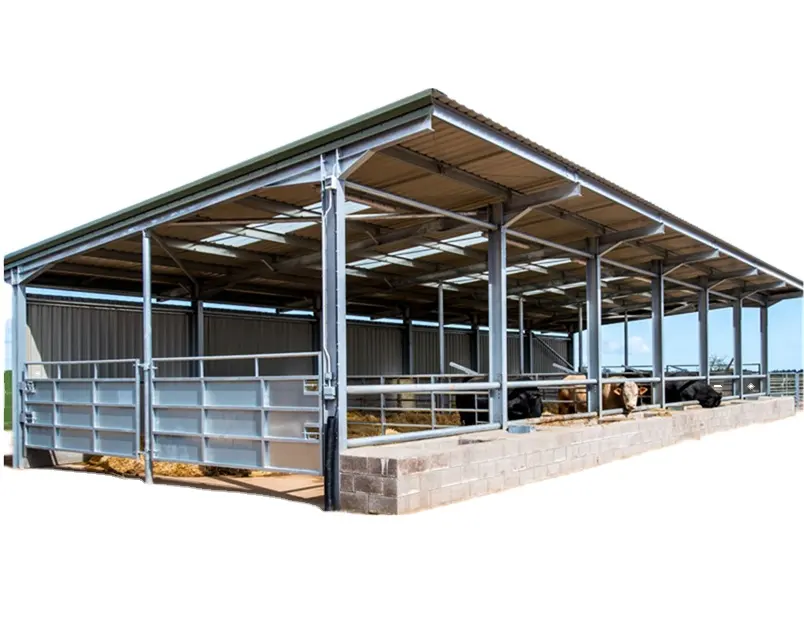 Çelik yapı inek döken prefabrik çelik çiftlik binası at ahır inek ev tasarımı