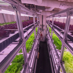 Bộ hoàn chỉnh các thùng chứa trồng cây thủy canh cho rau nhà kính đã sẵn sàng để trồng khi giao hàng - Product Image 2