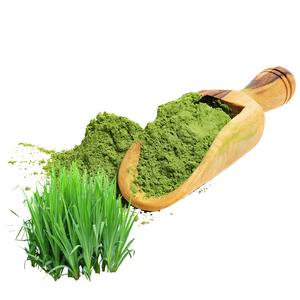 Precio de fábrica, polvo de hierba de trigo de grado alimenticio, polvo de jugo de hierba de trigo, polvo de extracto de hierba de trigo - Product Image 3