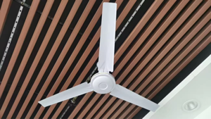 Nouveau Ventilateur de Plafond Intelligent 42 Pouces 2026 pour Chambre, Alimentation Électrique 220V, Pales en Fer, Grande Puissance - Product Image 6