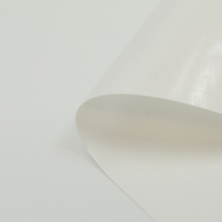 Película Adhesiva de TPU Elástica de Alta Calidad, 0.05 mm de Grosor, Película de Pegamento Termofusible