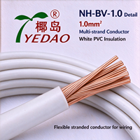 Kabel Tembaga Multi-strand NH-BV-1.0 1.0mm2 Putih Berisolasi PVC Tahan Api untuk Instalasi Listrik Bangunan