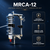 Parafoudre sans intermédiaire à oxyde métallique ZHUOLI MACA-12(Z) 10kA 12kV certifié ISO/CE pour la protection contre les fuites de foudre en distribution
