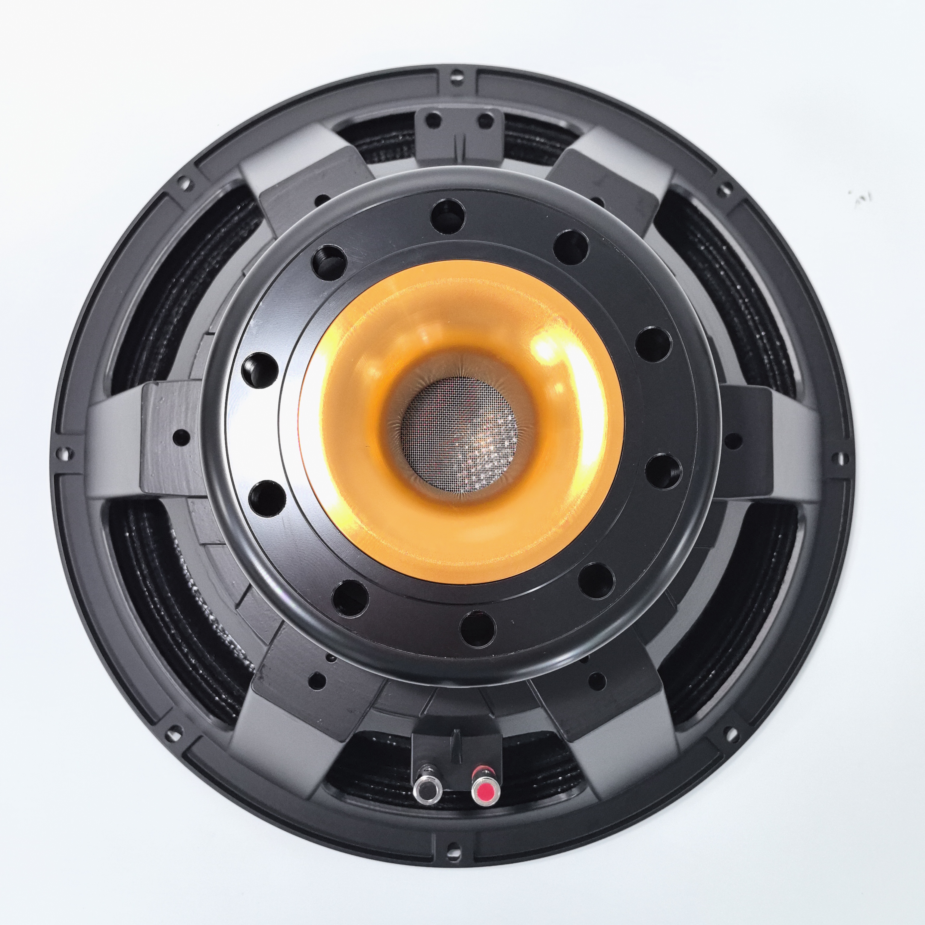 speaker 18 inch carbon fiber