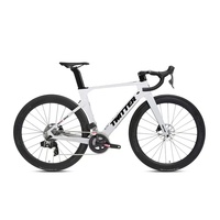 Vélo de Route TWITTER R10 Personnalisable en Fibre de Carbone avec Frein à Disque, Câblage Intégré, 700C, Configuration OEM DIY Optionnelle