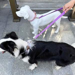 Guinzaglio per Cani di Alta Qualità in Cotone Resistente, Personalizzabile, Regolabile, con Stampa su Entrambi i Lati, per Addestramento e Passeggiate di Cani Grandi/Medi - Product Image 4