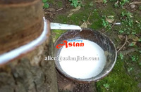 Machine de séparation d'eau en latex naturel/séparateur de latex en caoutchouc centrifugeuse à disque