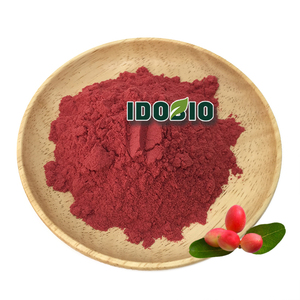 Poudre de Synsepalum Dulcificum 100% Naturelle - Product Image 3