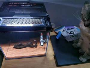 Accessoires d'<span class=keywords><strong>Aquarium</strong></span> Personnalisés Connecteurs de Cadre d'<span class=keywords><strong>Aquarium</strong></span> <span class=keywords><strong>DIY</strong></span> 8 mm 10 mm 12 mm en Plastique pour Aquariums de 10-50L Rouge Blanc Noir - Product Image 5