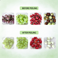 Machine à peler les raisins automatique, éplucheur multi-fruits pour raisins verts, cerises, tomates, petits fruits ronds, qualité alimentaire, vente en gros