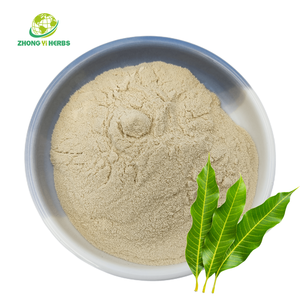 أفضل سعر مانجو طبيعي بالجملة من المانجو من مانجيفيرين - Product Image 2