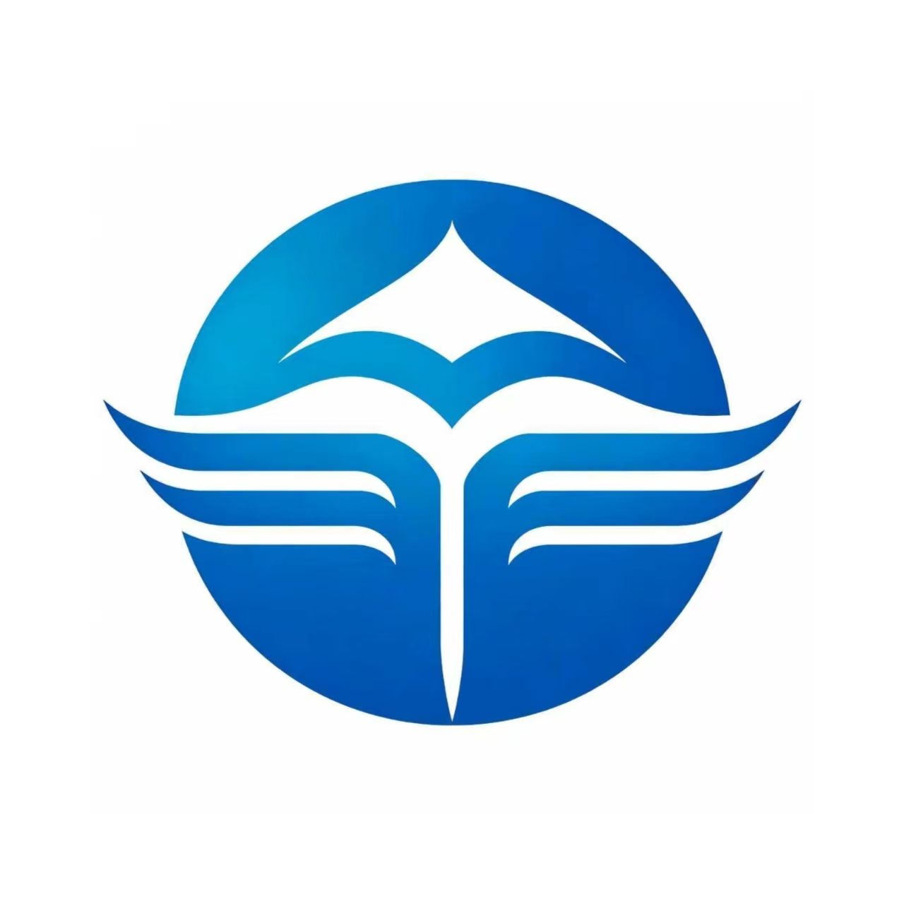 Hebei Songcheng Trading Co., Ltd. logo
